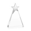 Eglinton Silver Star Award | https://www.bestnamebadges.com