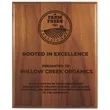 8" x 10" Step-Edge Genuine Walnut Plaque | https://www.bestnamebadges.com