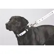 Full Color 1" Wide Premium Pet Leash | https://www.bestnamebadges.com