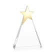 Eglinton Gold Star Award | https://www.bestnamebadges.com
