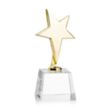 Tuscany Gold Star on Robson Base - Clear | https://www.bestnamebadges.com