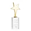 Tuscany Gold Star on Lexington Base - Clear | https://www.bestnamebadges.com