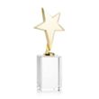 Tuscany Gold Star on Lexington Base - Clear | https://www.bestnamebadges.com