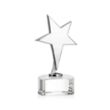 Tuscany Chrome Star on Paragon Base - Clear | https://www.bestnamebadges.com