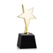 Tuscany Gold Star on Robson Base - Black | https://www.bestnamebadges.com