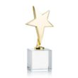Tuscany Gold Star on Granby Base - Clear | https://www.bestnamebadges.com