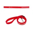 Rechargeable LED Light-Up Dog Leash | https://www.bestnamebadges.com