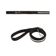 Rechargeable LED Light-Up Dog Leash | https://www.bestnamebadges.com