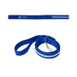 Rechargeable LED Light-Up Dog Leash | https://www.bestnamebadges.com