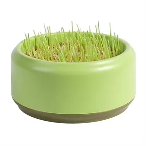 Cat grass pot