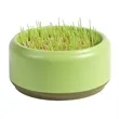 Cat grass pot | https://www.bestnamebadges.com