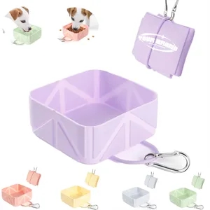 Foldable Portable Travel Silicon Pet Food And Water Bowl