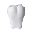 Dental Tooth Shape Stress Ball | https://www.bestnamebadges.com