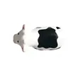 Cow Shape Stress Ball | https://www.bestnamebadges.com