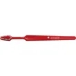 Junior Toothbrush | https://www.bestnamebadges.com