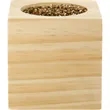 Sprigbox Cilantro Grow Kit | https://www.bestnamebadges.com