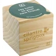 Sprigbox Cilantro Grow Kit | https://www.bestnamebadges.com