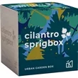 Sprigbox Cilantro Grow Kit | https://www.bestnamebadges.com