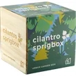 Sprigbox Cilantro Grow Kit | https://www.bestnamebadges.com