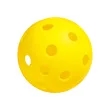 Onix Recruit Beginner Pickleball Set | https://www.bestnamebadges.com
