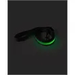 Rechargeable LED Light-Up Dog Leash | https://www.bestnamebadges.com