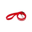 Rechargeable LED Light-Up Dog Leash | https://www.bestnamebadges.com