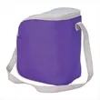 Cool Spring 12-Can Cooler | https://www.bestnamebadges.com