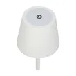 Theo LED Rechargeable Desk Lamp | https://www.bestnamebadges.com
