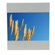 Cinema 7" x 5" Photo Frame | https://www.bestnamebadges.com
