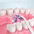 Custom Electric Water Flosser Oral Hygiene Device | https://www.bestnamebadges.com