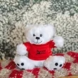 6" Big Paw Bear | https://www.bestnamebadges.com
