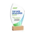 Clarence VividPrint™ Award | https://www.bestnamebadges.com