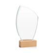 Clarence VividPrint™ Award | https://www.bestnamebadges.com