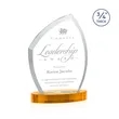 Daltry Award on Alberton Base - Amber | https://www.bestnamebadges.com
