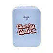 10L Mini Fridge with Imprint | https://www.bestnamebadges.com