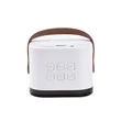 PartyWave Portable Karaoke System with Dual Microphone | https://www.bestnamebadges.com