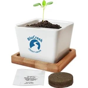 Ceramic Planter