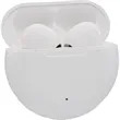 Bawl Pro True Wireless Earbuds | https://www.bestnamebadges.com