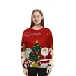Custom Fully Sublimated Crew Neck Sweatshirts | https://www.bestnamebadges.com