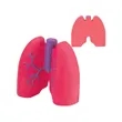Lungs Shape Stress Ball | https://www.bestnamebadges.com