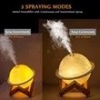 Mini Moon Lamp Humidifier | https://www.bestnamebadges.com