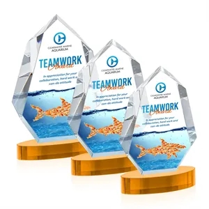 Norwood VividPrint™ Award on Alberton Base - Amber | https://www.bestnamebadges.com