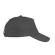 Price Buster Cap | https://www.bestnamebadges.com