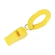 Recycled Whistle with Coil | https://www.bestnamebadges.com