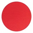 Apple Skin Journal | https://www.bestnamebadges.com