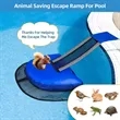 Pool Animal Escape Ramp | https://www.bestnamebadges.com