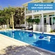 Pool Animal Escape Ramp | https://www.bestnamebadges.com