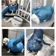 Hands-Free Dry Fast Portable Drying Bag for Pets | https://www.bestnamebadges.com