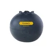 Blueberry Shape Stress Ball | https://www.bestnamebadges.com