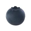 Blueberry Shape Stress Ball | https://www.bestnamebadges.com